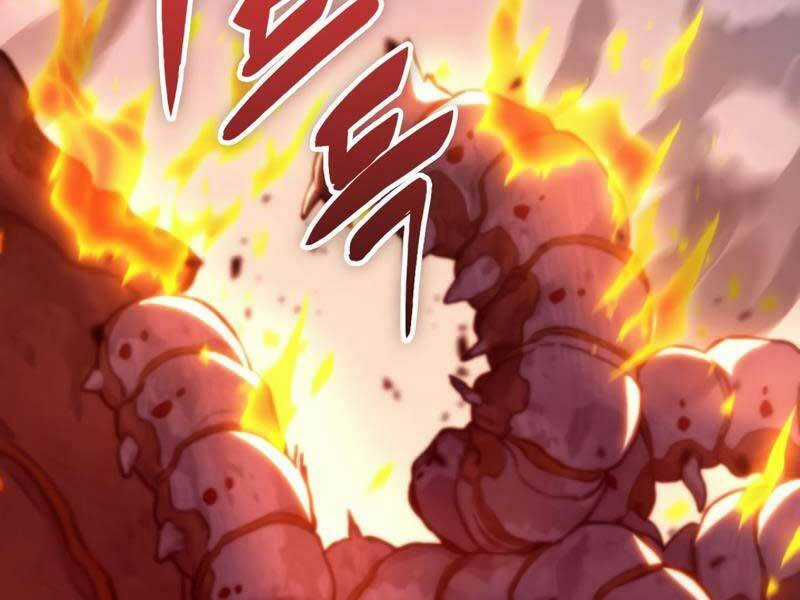 Thợ Săn Số Mệnh Cấp F Chapter 5 trang 213