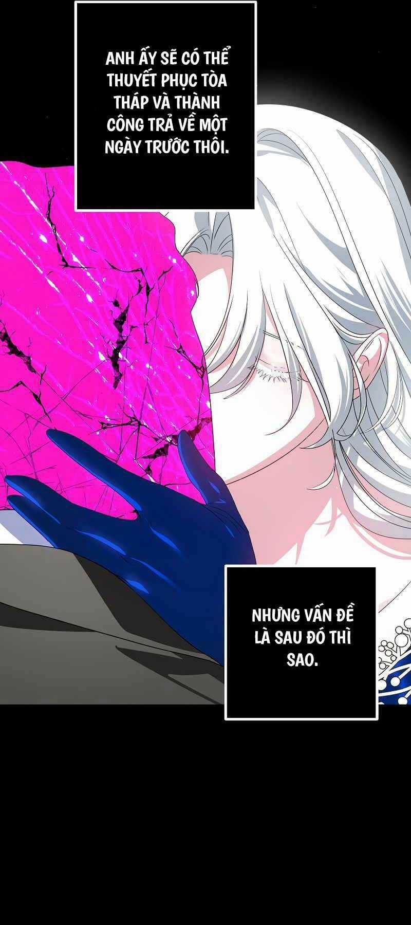 Thợ Săn Tự Sát Cấp Sss Chapter 105 trang 12