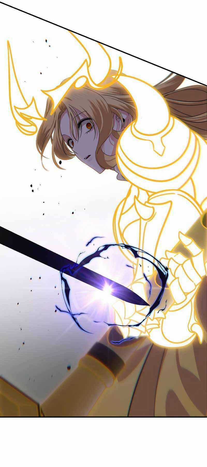 Thợ Săn Tự Sát Cấp Sss Chapter 111 trang 14