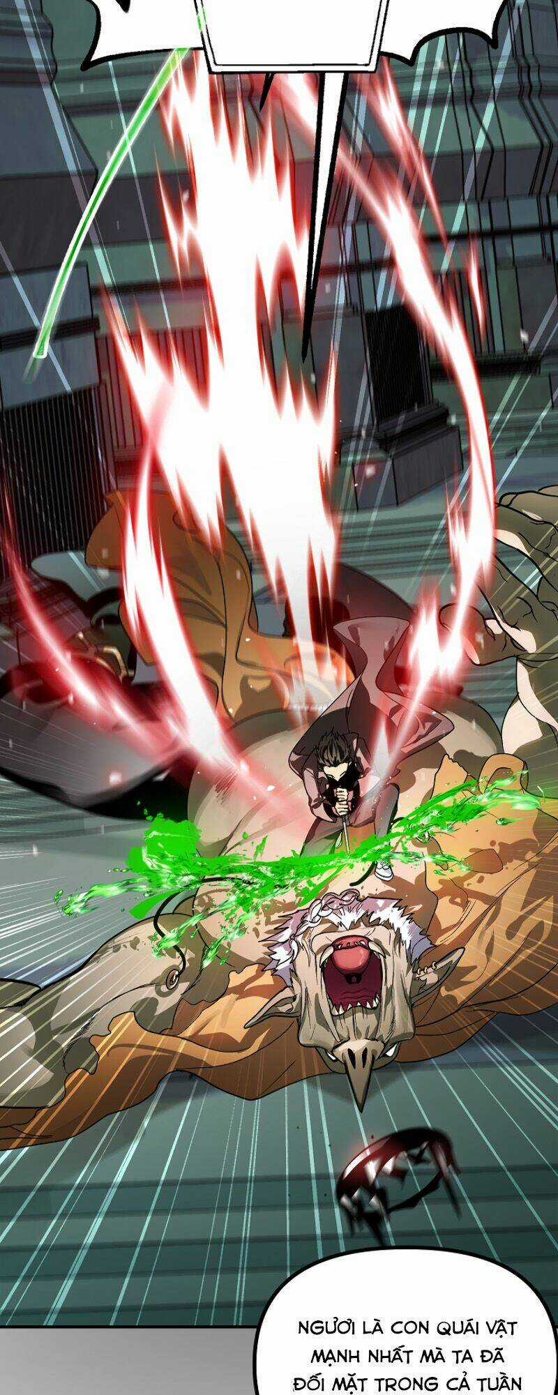 Thợ Săn Tự Sát Cấp Sss Chapter 13 trang 9