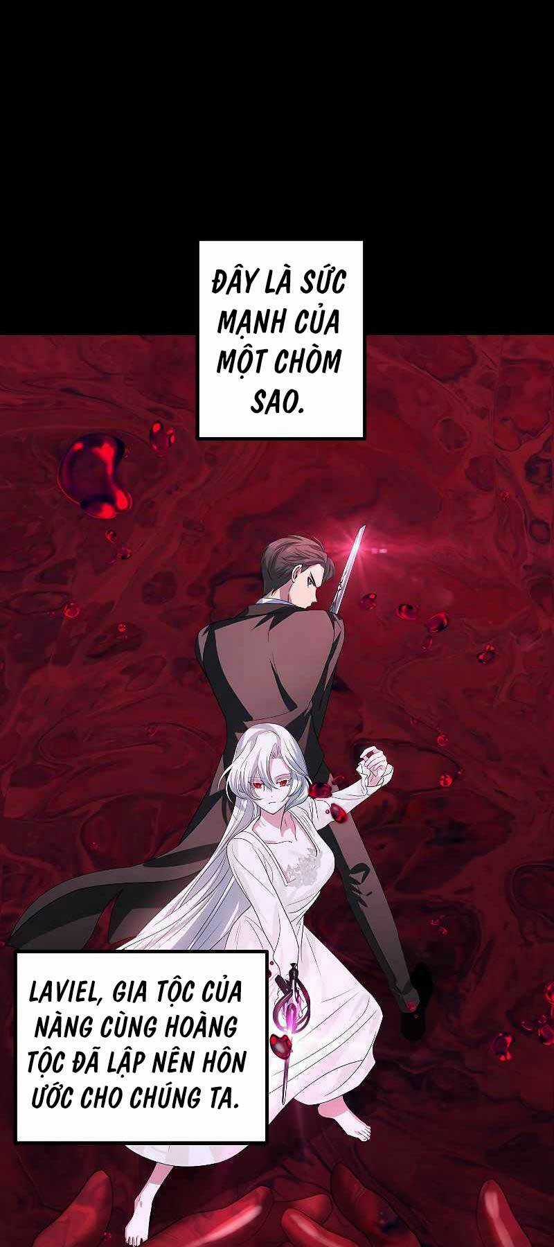 Thợ Săn Tự Sát Cấp Sss Chapter 95 trang 27