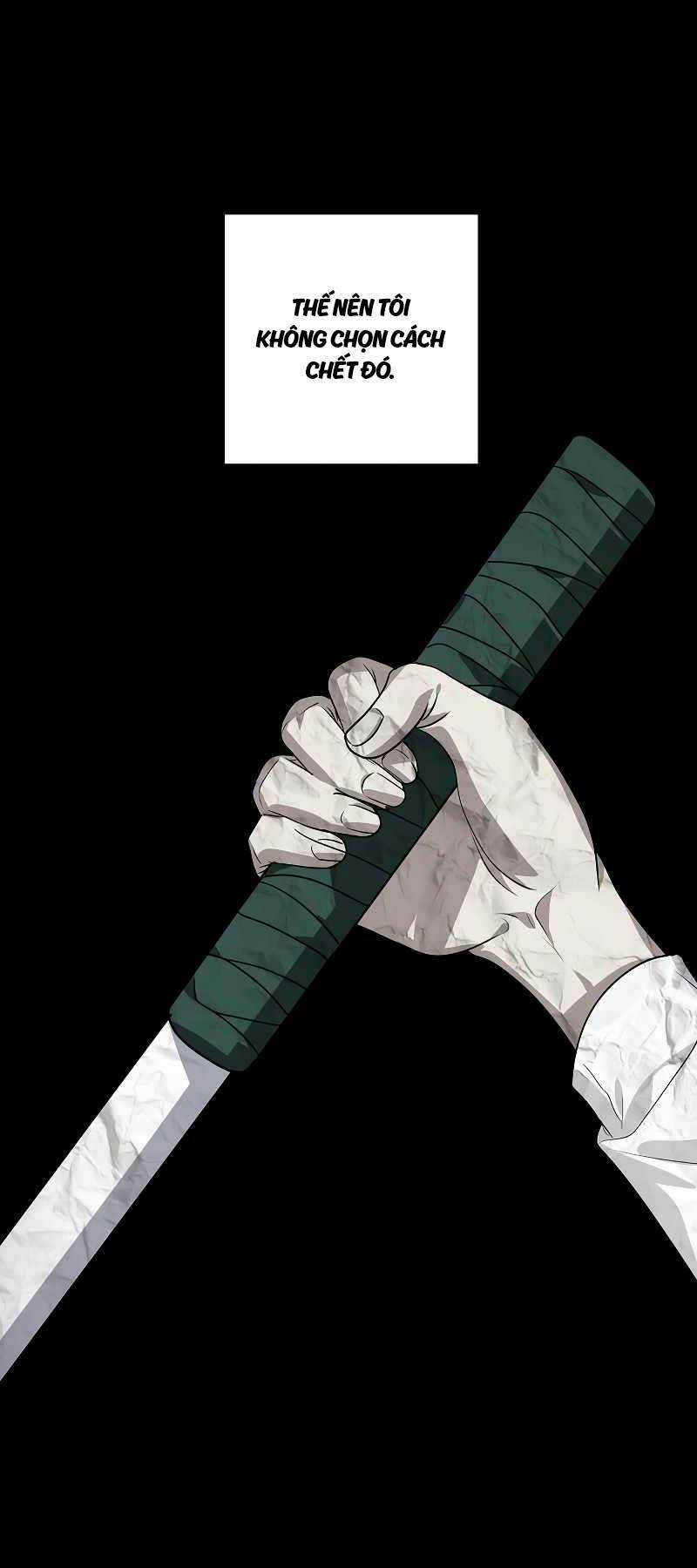 Thợ Săn Tự Sát Cấp Sss Chapter 99 trang 4