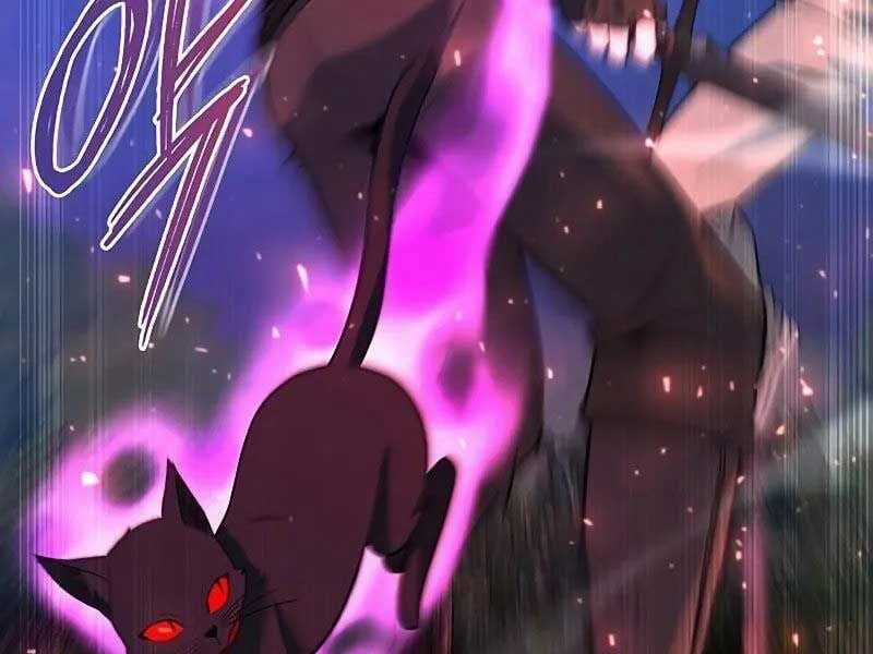 Thợ Tạo Tác Vũ Khí Chapter 45 trang 252