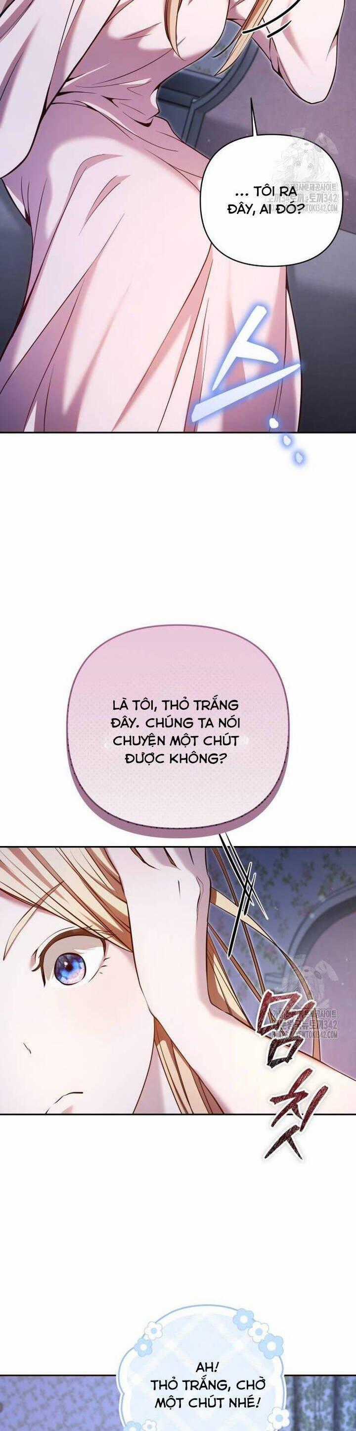 Thỏ Trắng Ở Xứ Sở Thần Tiên Chapter 23 trang 1