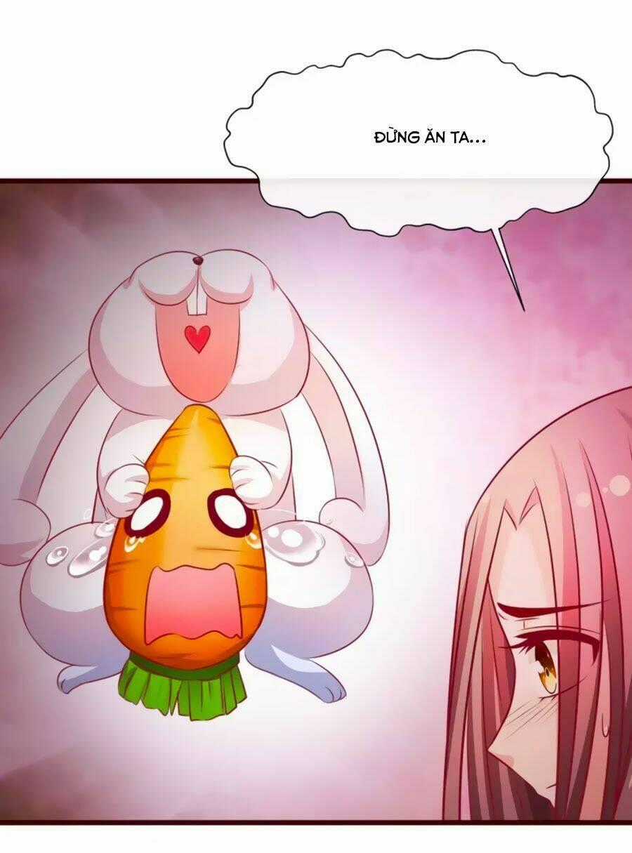 Thỏ Yêu Tiểu Vương Phi Chapter 18 trang 1