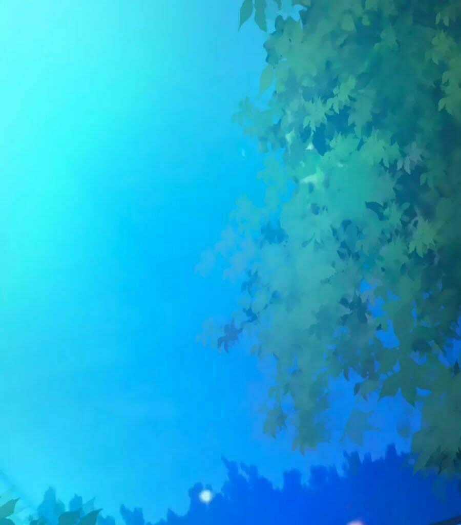 Thỏ Yêu Tiểu Vương Phi Chapter 33 trang 1