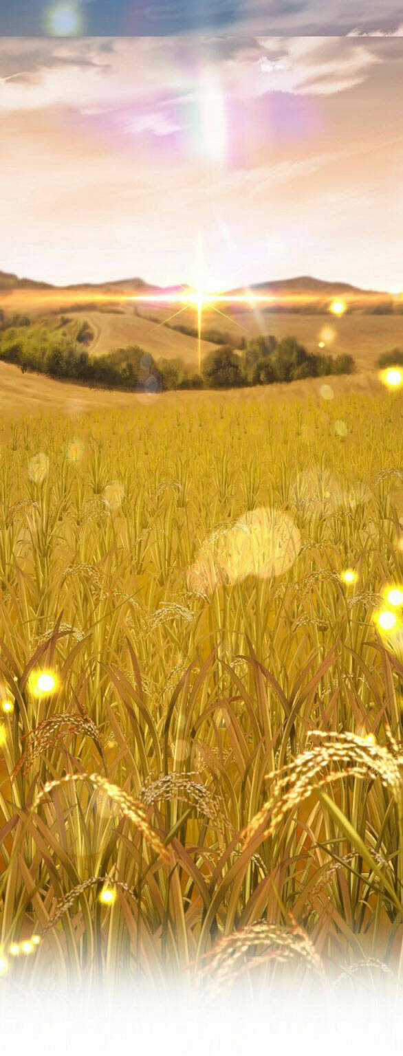 Thời Đại Của Oman Chapter 11.2 trang 24