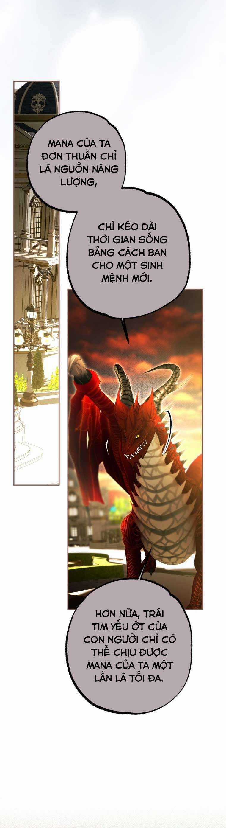 Thời Gian Của Nhân Vật Phụ Có Giới Hạn Chương 79 trang 45