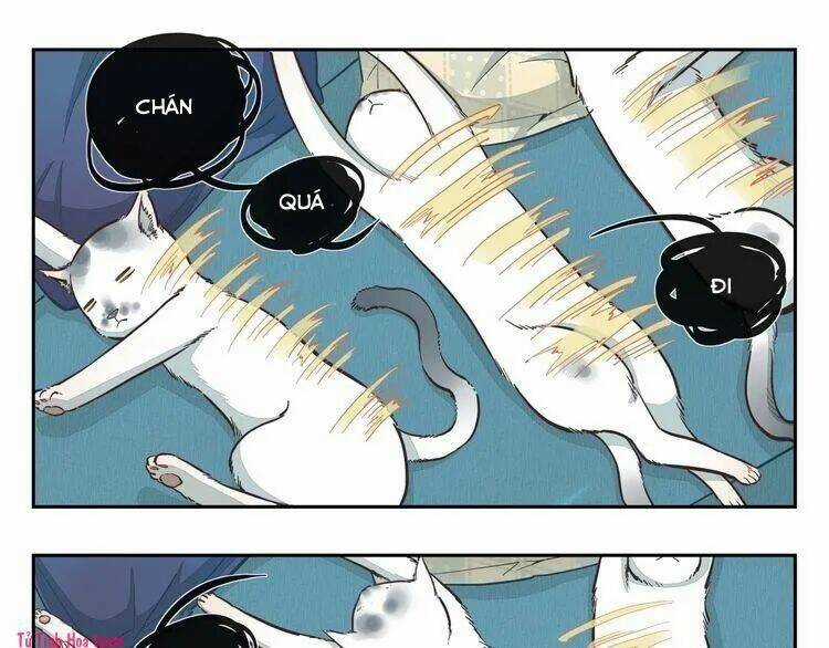Thời Khắc Ấy, Chúng Ta Gặp Nhau Chapter 17 trang 3