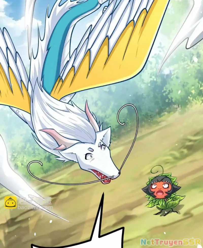 Thôn Phệ Đi, Đại Chùy Hoa Chapter 19 trang 66