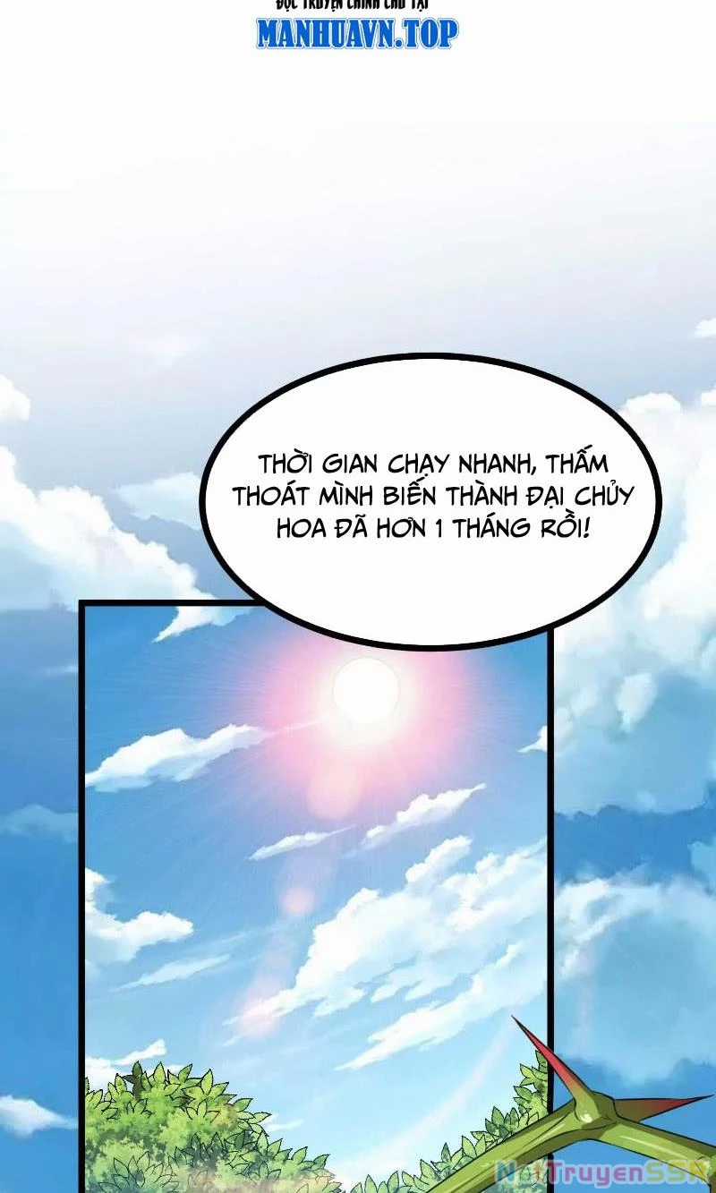 Thôn Phệ Đi, Đại Chùy Hoa Chapter 7 trang 44