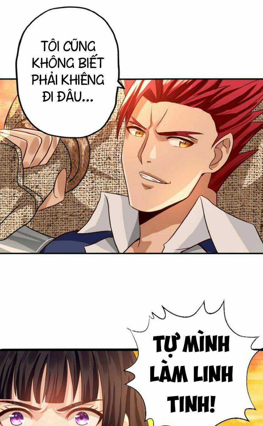 Thôn Phệ Lĩnh Vực Chapter 33 trang 22