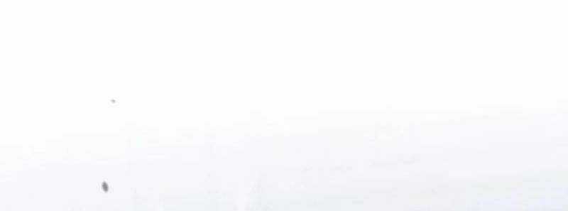 Thống Lĩnh Học Viện Chỉ Bằng Dao Sashimi Chapter 1 trang 445