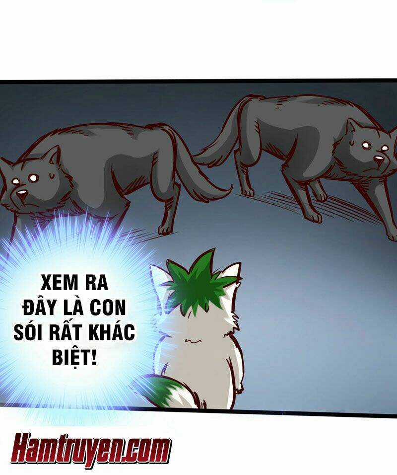 Thông Thiên Chi Lộ Chapter 14 trang 34