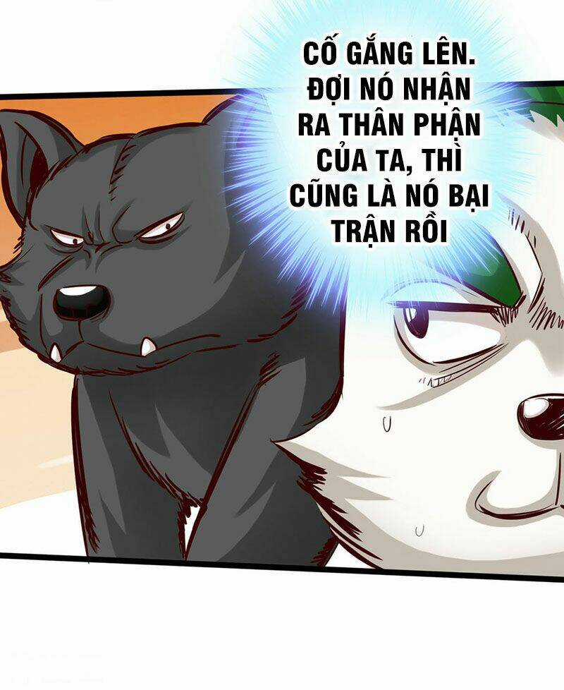 Thông Thiên Chi Lộ Chapter 14 trang 35