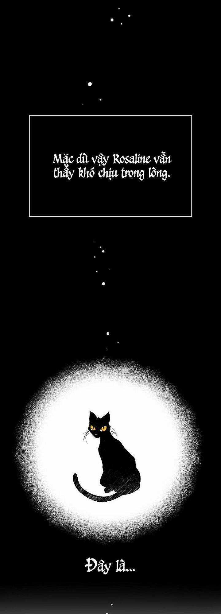 Thú Cưng Của Nữ Đại Công Tước Chapter 12 trang 34