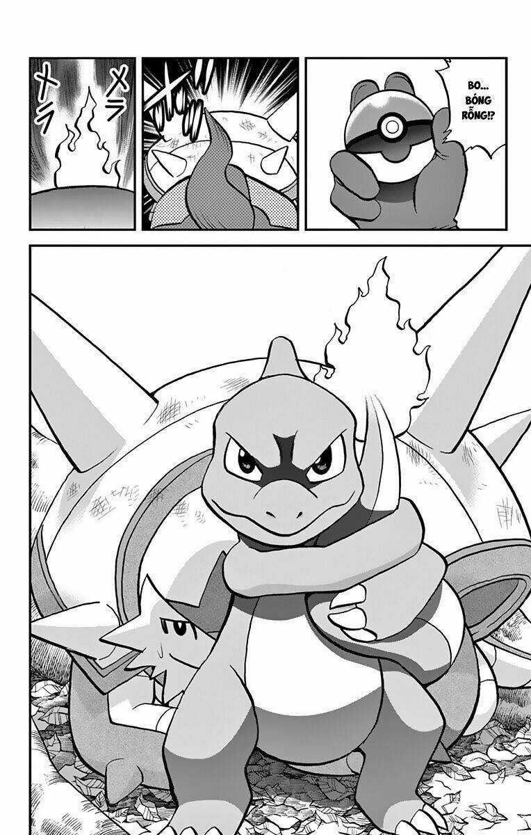 Thú Cưng đặc biệt XY Chapter 33 trang 19