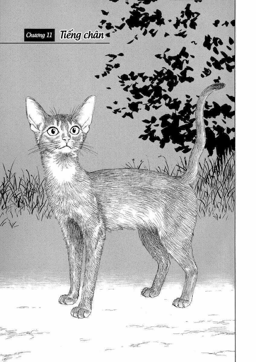 Thư Ký Của Alexandros Đại Đế Chapter 11 trang 1