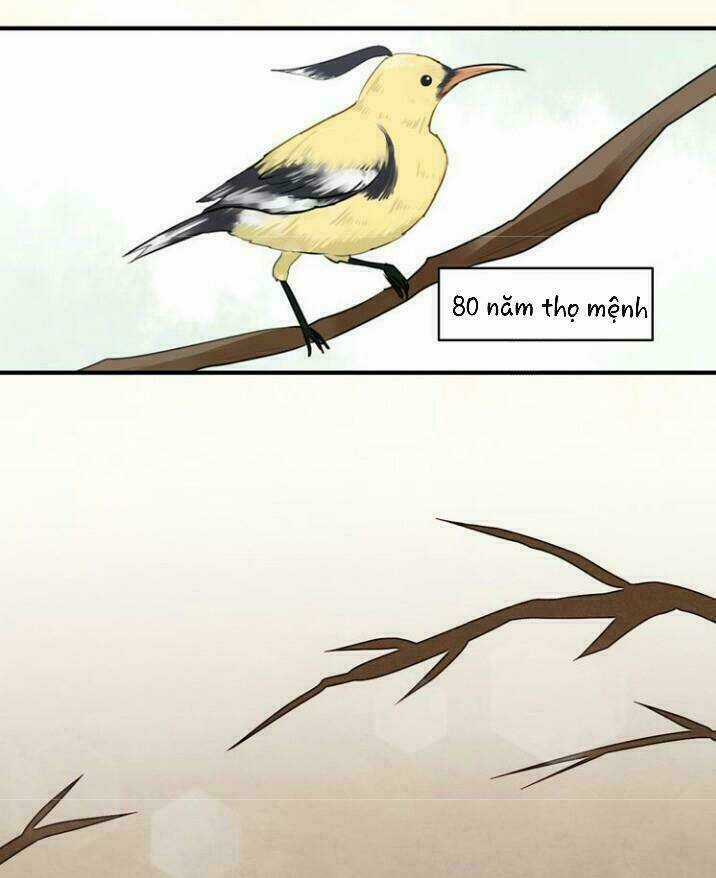 Thú Sủng Của Tôi Bị Mất Trí Rồi Chapter 15 trang 14