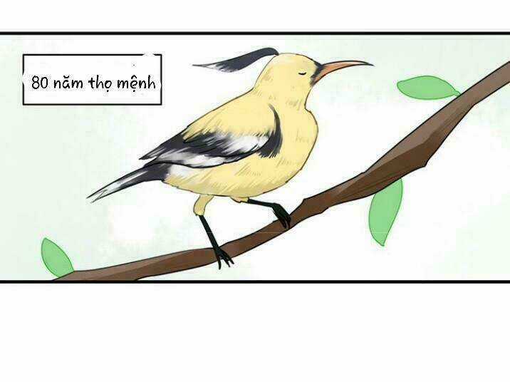 Thú Sủng Của Tôi Bị Mất Trí Rồi Chapter 15 trang 19