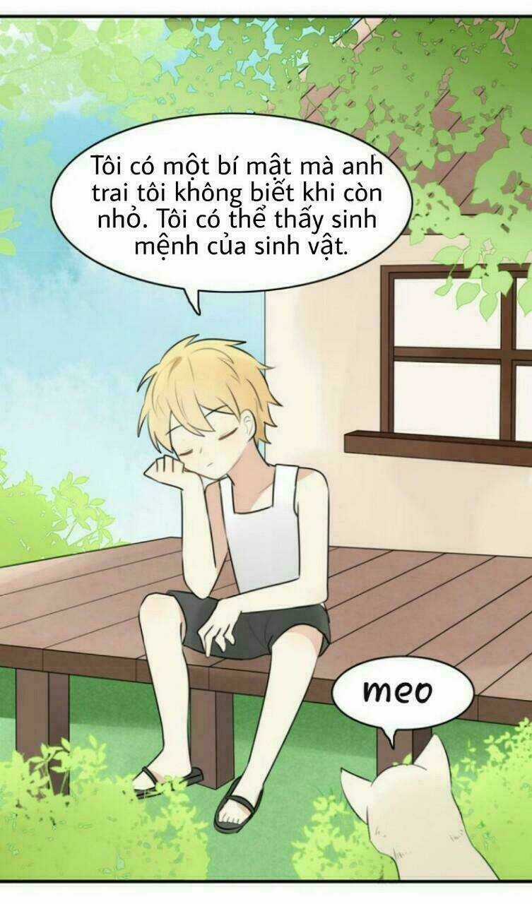 Thú Sủng Của Tôi Bị Mất Trí Rồi Chapter 15 trang 20