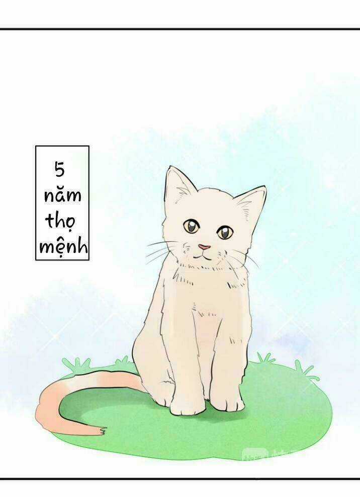 Thú Sủng Của Tôi Bị Mất Trí Rồi Chapter 15 trang 22