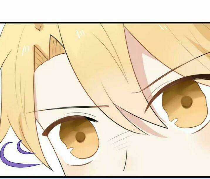 Thú Sủng Của Tôi Bị Mất Trí Rồi Chapter 16 trang 10