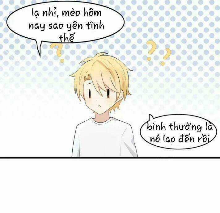 Thú Sủng Của Tôi Bị Mất Trí Rồi Chapter 16 trang 2