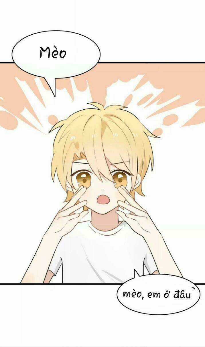 Thú Sủng Của Tôi Bị Mất Trí Rồi Chapter 16 trang 3