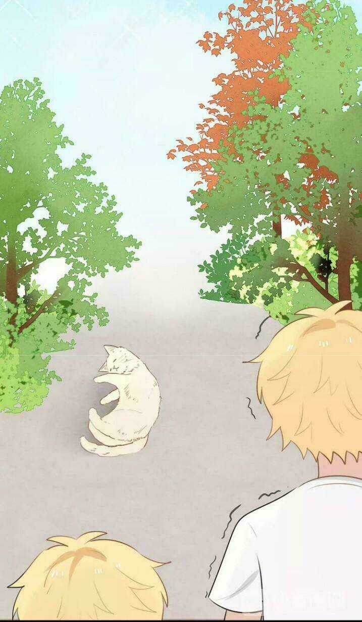 Thú Sủng Của Tôi Bị Mất Trí Rồi Chapter 16 trang 5