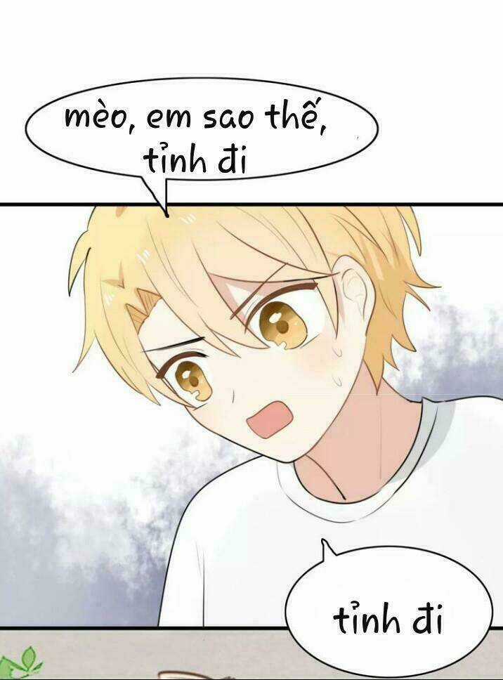 Thú Sủng Của Tôi Bị Mất Trí Rồi Chapter 16 trang 6