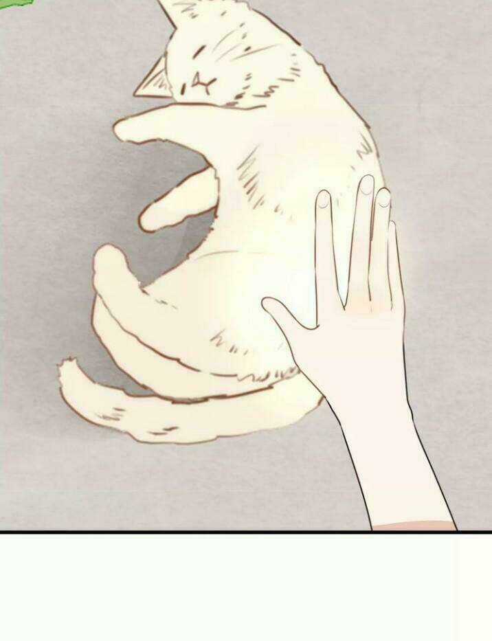 Thú Sủng Của Tôi Bị Mất Trí Rồi Chapter 16 trang 7