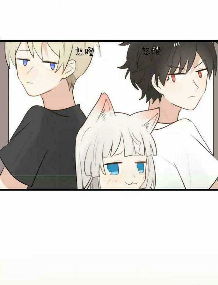 Thú Sủng Của Tôi Bị Mất Trí Rồi Chapter 17 trang 25