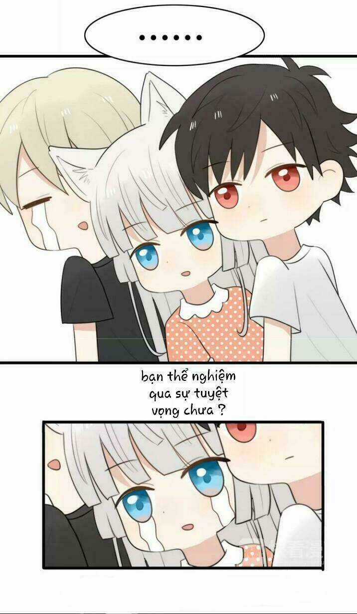 Thú Sủng Của Tôi Bị Mất Trí Rồi Chapter 17 trang 31