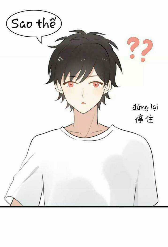 Thú Sủng Của Tôi Bị Mất Trí Rồi Chapter 17 trang 5