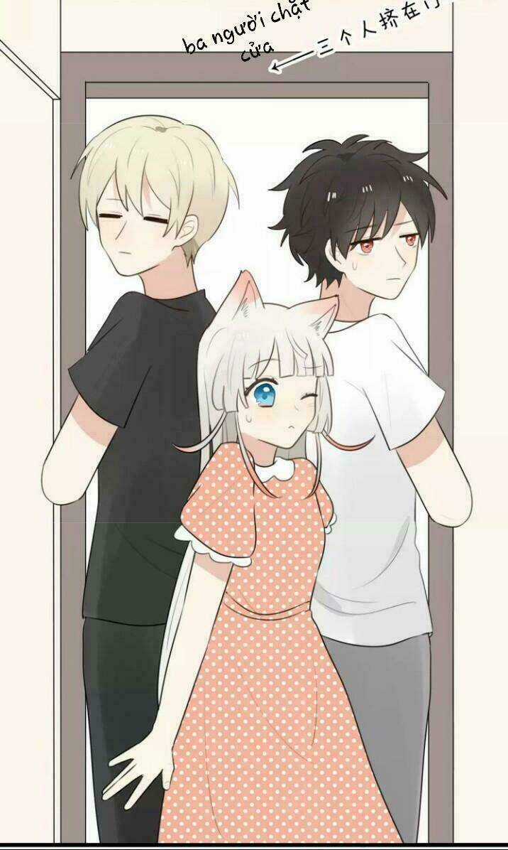 Thú Sủng Của Tôi Bị Mất Trí Rồi Chapter 17 trang 9