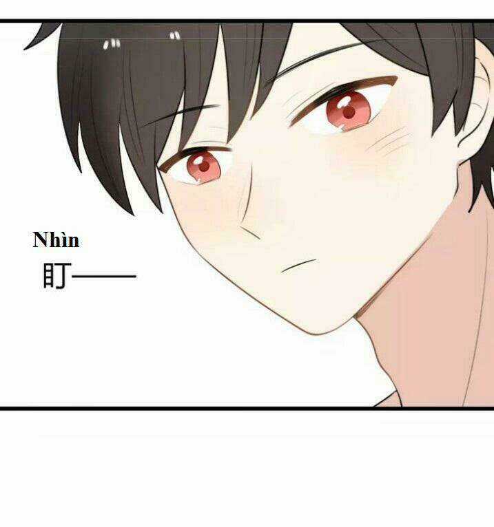 Thú Sủng Của Tôi Bị Mất Trí Rồi Chapter 19 trang 4