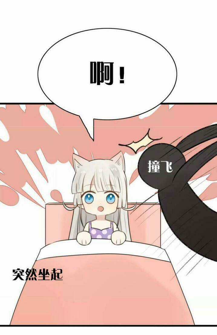 Thú Sủng Của Tôi Bị Mất Trí Rồi Chapter 19 trang 8