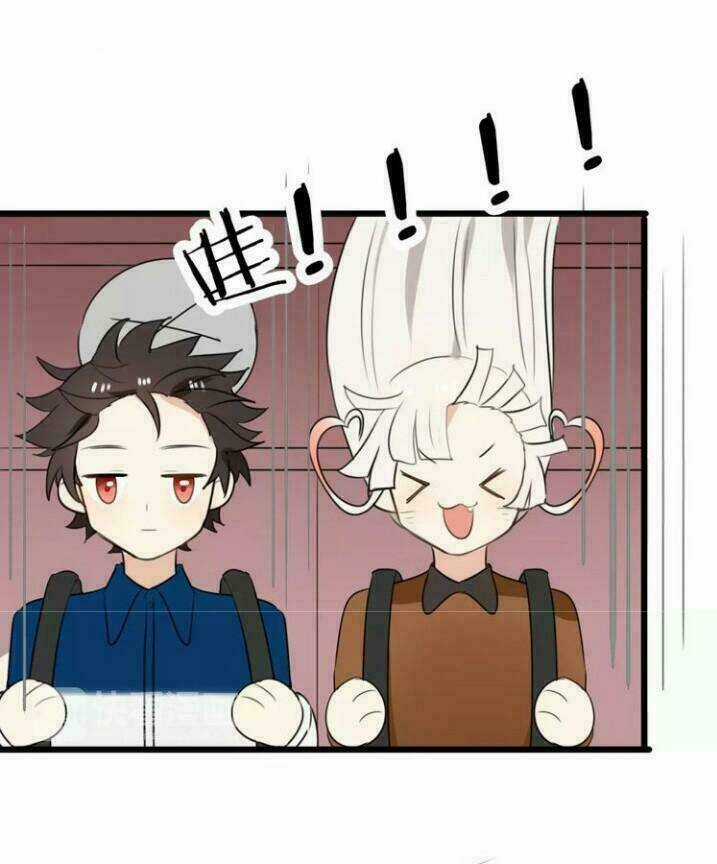 Thú Sủng Của Tôi Bị Mất Trí Rồi Chapter 21 trang 5