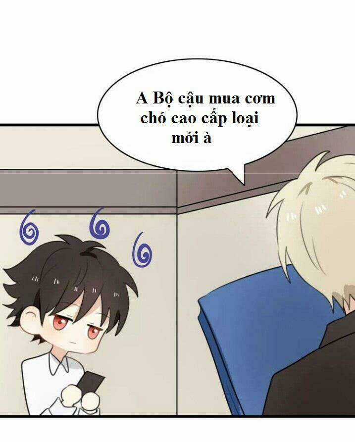 Thú Sủng Của Tôi Bị Mất Trí Rồi Chapter 24 trang 2