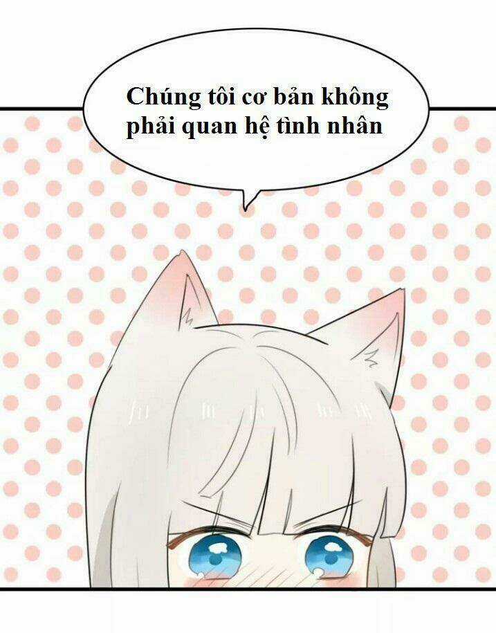 Thú Sủng Của Tôi Bị Mất Trí Rồi Chapter 24 trang 27