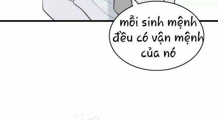 Thú Sủng Của Tôi Bị Mất Trí Rồi Chapter 27 trang 21