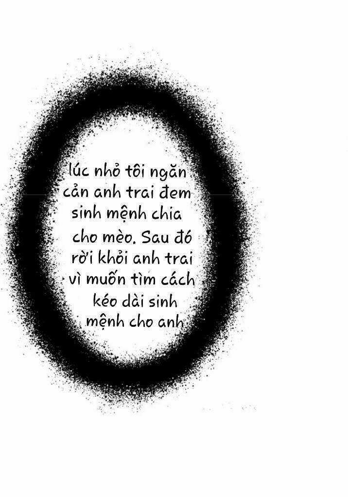 Thú Sủng Của Tôi Bị Mất Trí Rồi Chapter 27 trang 22