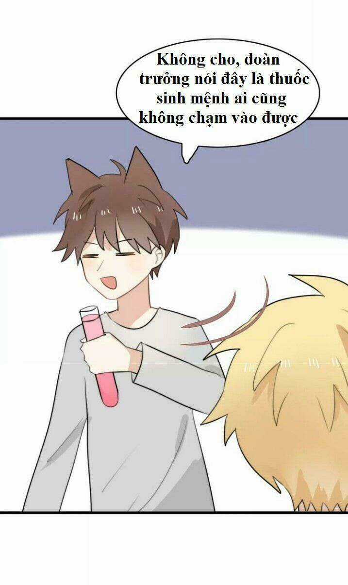 Thú Sủng Của Tôi Bị Mất Trí Rồi Chapter 28 trang 22