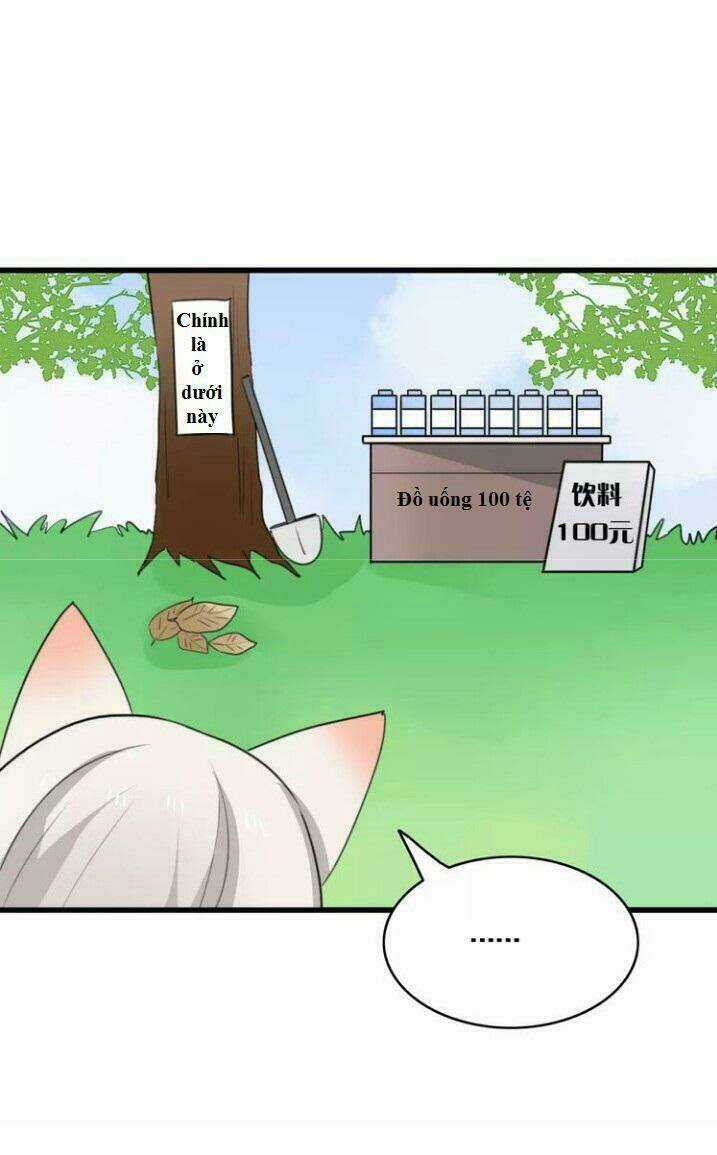 Thú Sủng Của Tôi Bị Mất Trí Rồi Chapter 35 trang 17