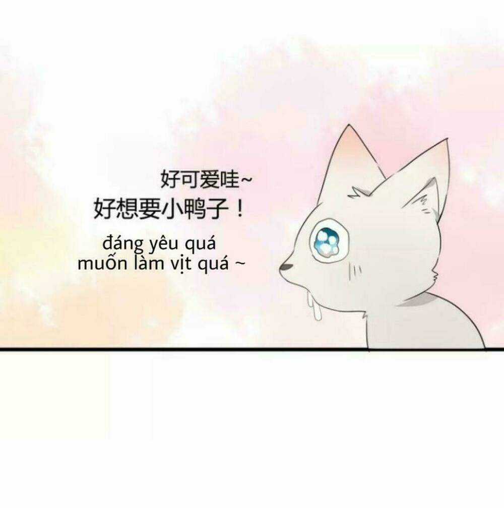 Thú Sủng Của Tôi Bị Mất Trí Rồi Chapter 38 trang 11