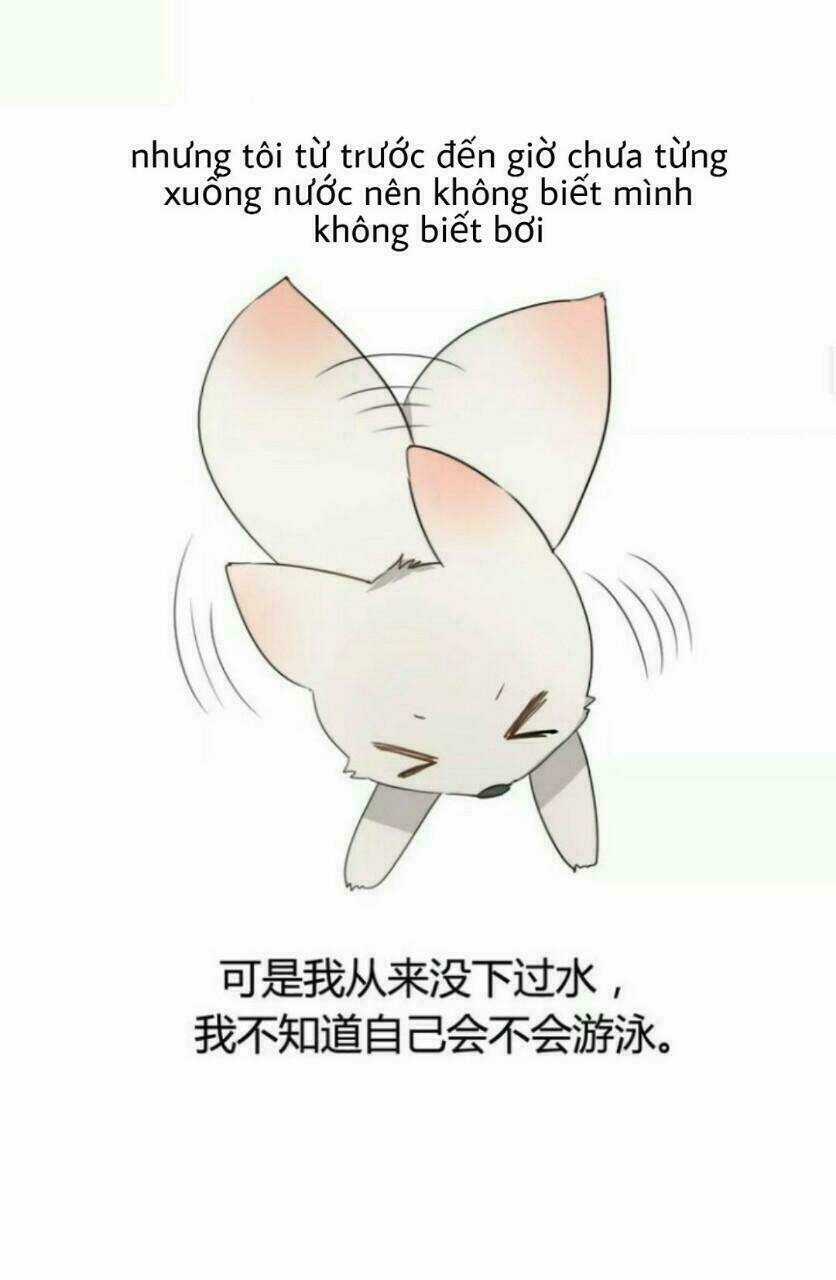 Thú Sủng Của Tôi Bị Mất Trí Rồi Chapter 38 trang 12