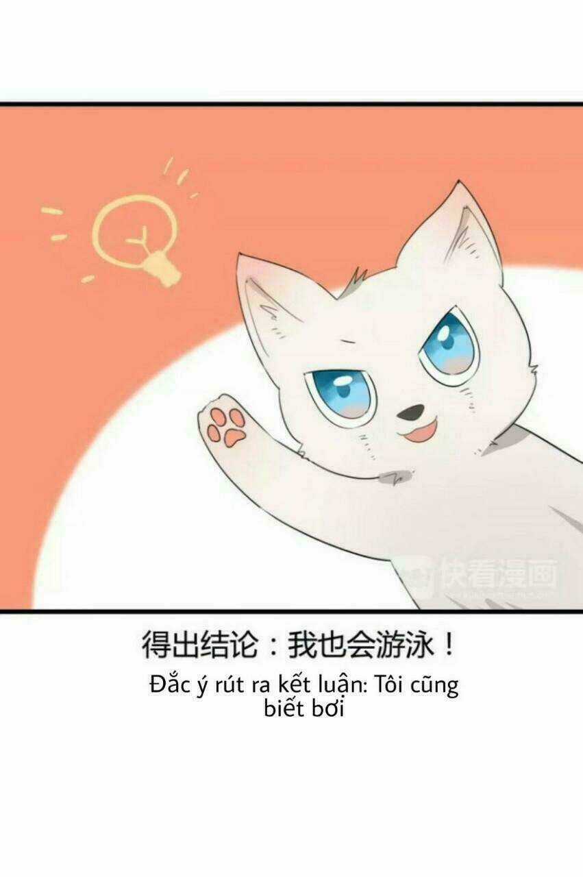 Thú Sủng Của Tôi Bị Mất Trí Rồi Chapter 38 trang 15