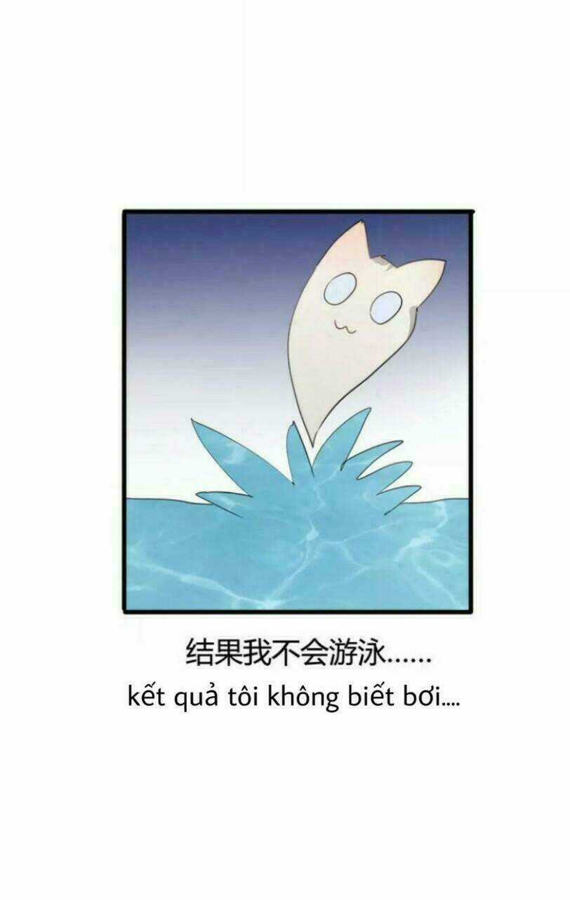 Thú Sủng Của Tôi Bị Mất Trí Rồi Chapter 38 trang 17