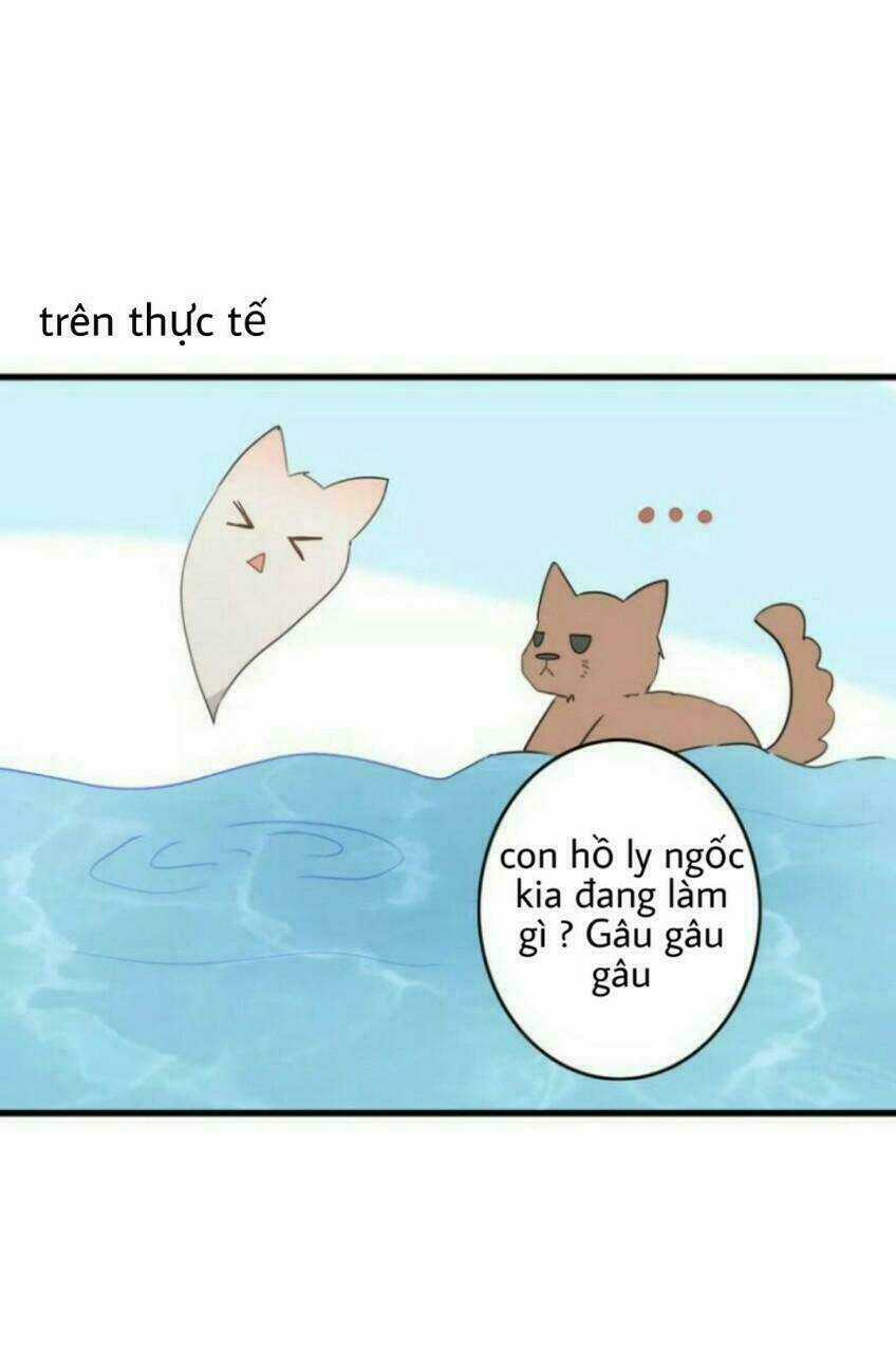 Thú Sủng Của Tôi Bị Mất Trí Rồi Chapter 38 trang 21